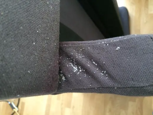 Bed bug infestation photo from a recent callout