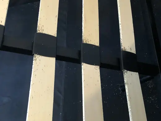 Bed bug infestation photo from a recent callout